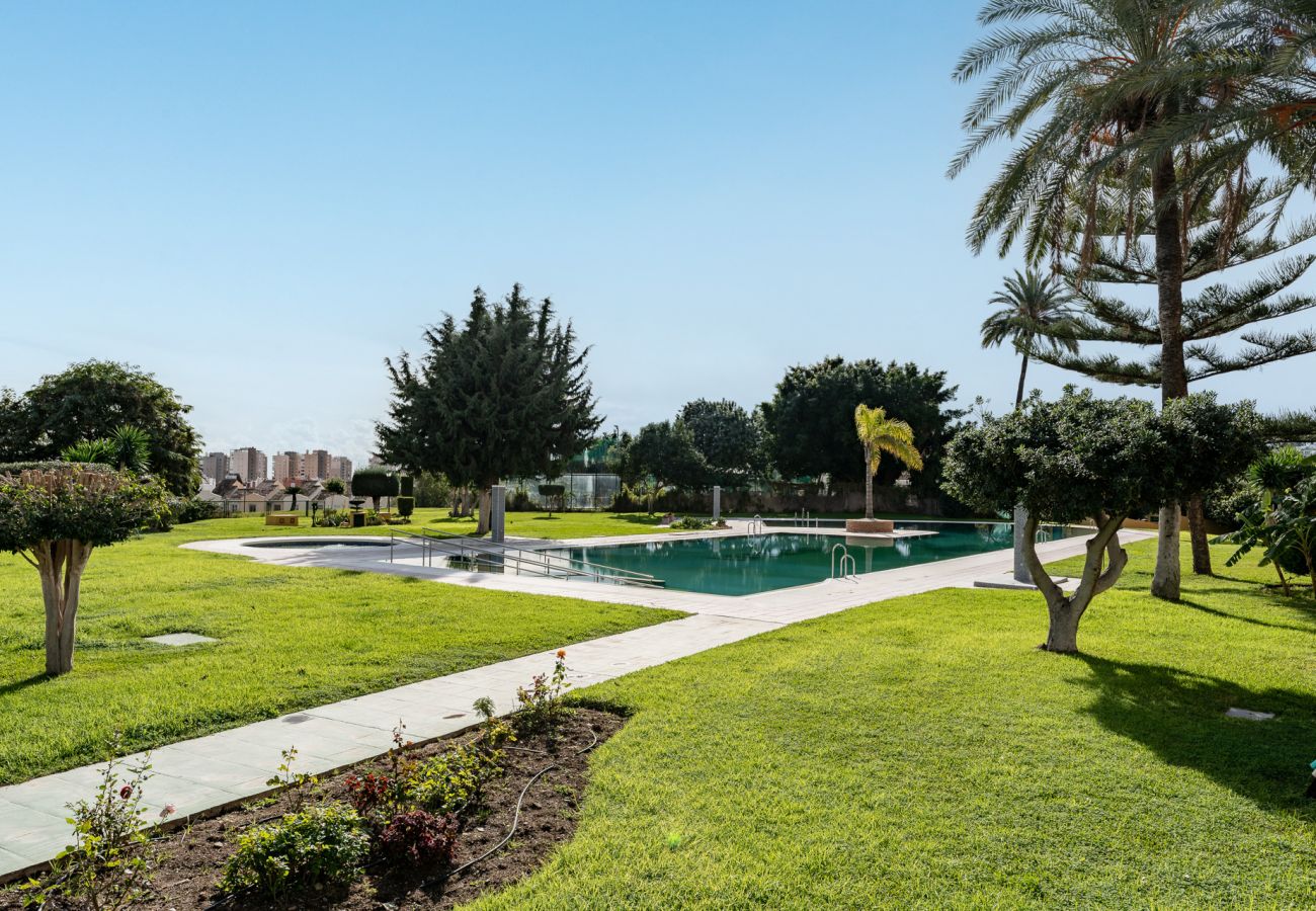 Apartment in Torremolinos - Perfect location! Walk a few minutes to restaurants, lovely beach, town, train and bus.